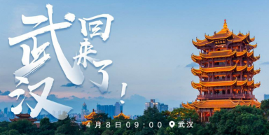 “连接线专家”金佳佰业，让数据传输更高效